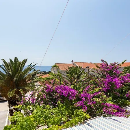 Daire Scala 1 -
