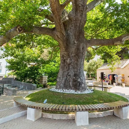 Scala 1 - Appartement